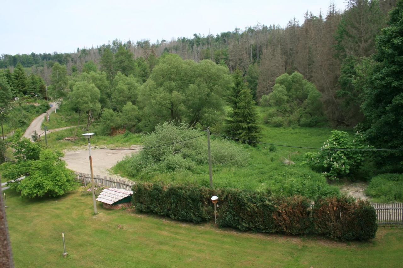 Naturferienhaus Luppbodemühle Allrode Exterior foto